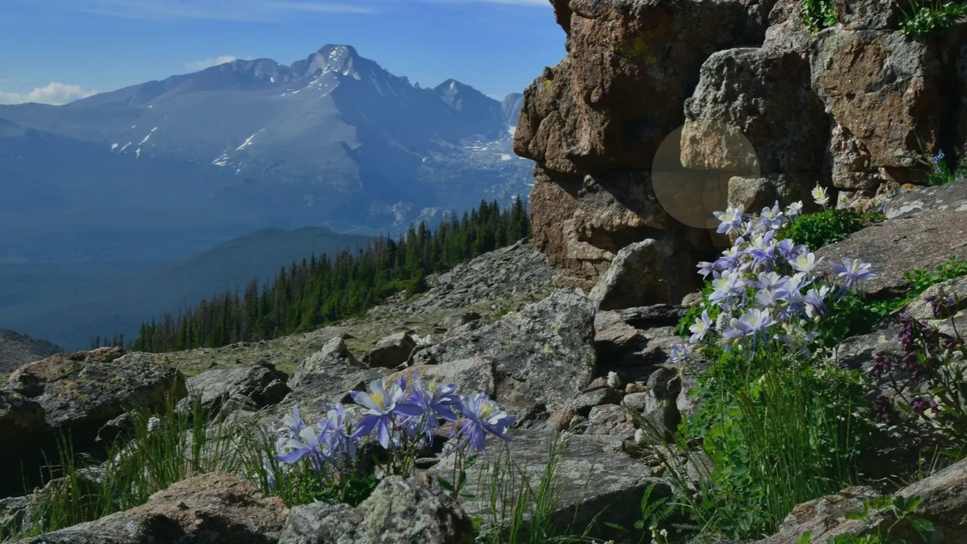 How to Sell Colorado Land Privately Colorado land guide