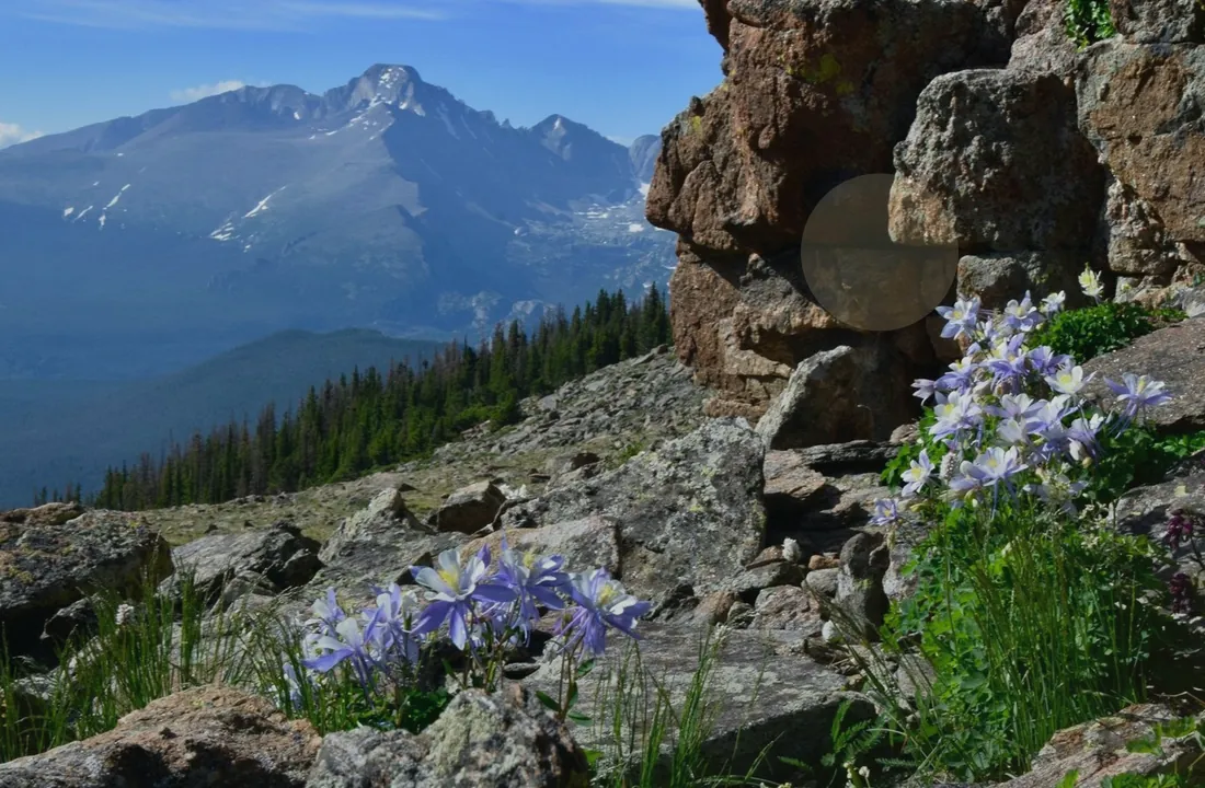 Colorado land records and parcel facts for How to Sell Unwanted Colorado Acreage