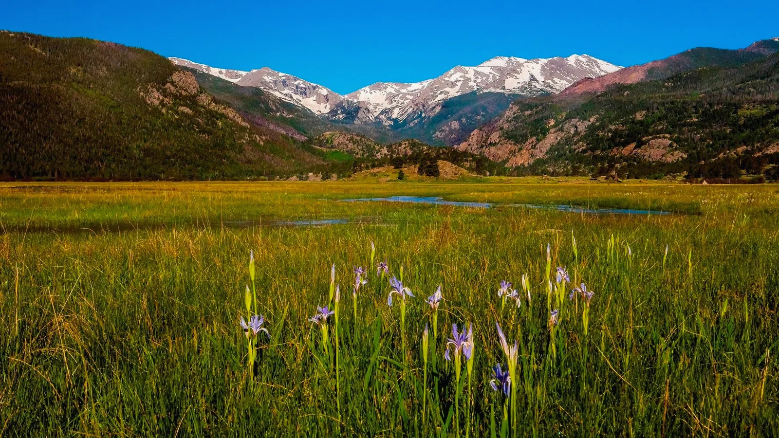 Sell Land in Saguache Colorado Colorado land background